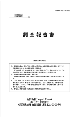 調査報告書 表紙